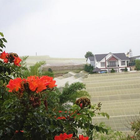Mento Villa 달랏 외부 사진