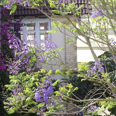 Mento Villa 달랏 외부 사진