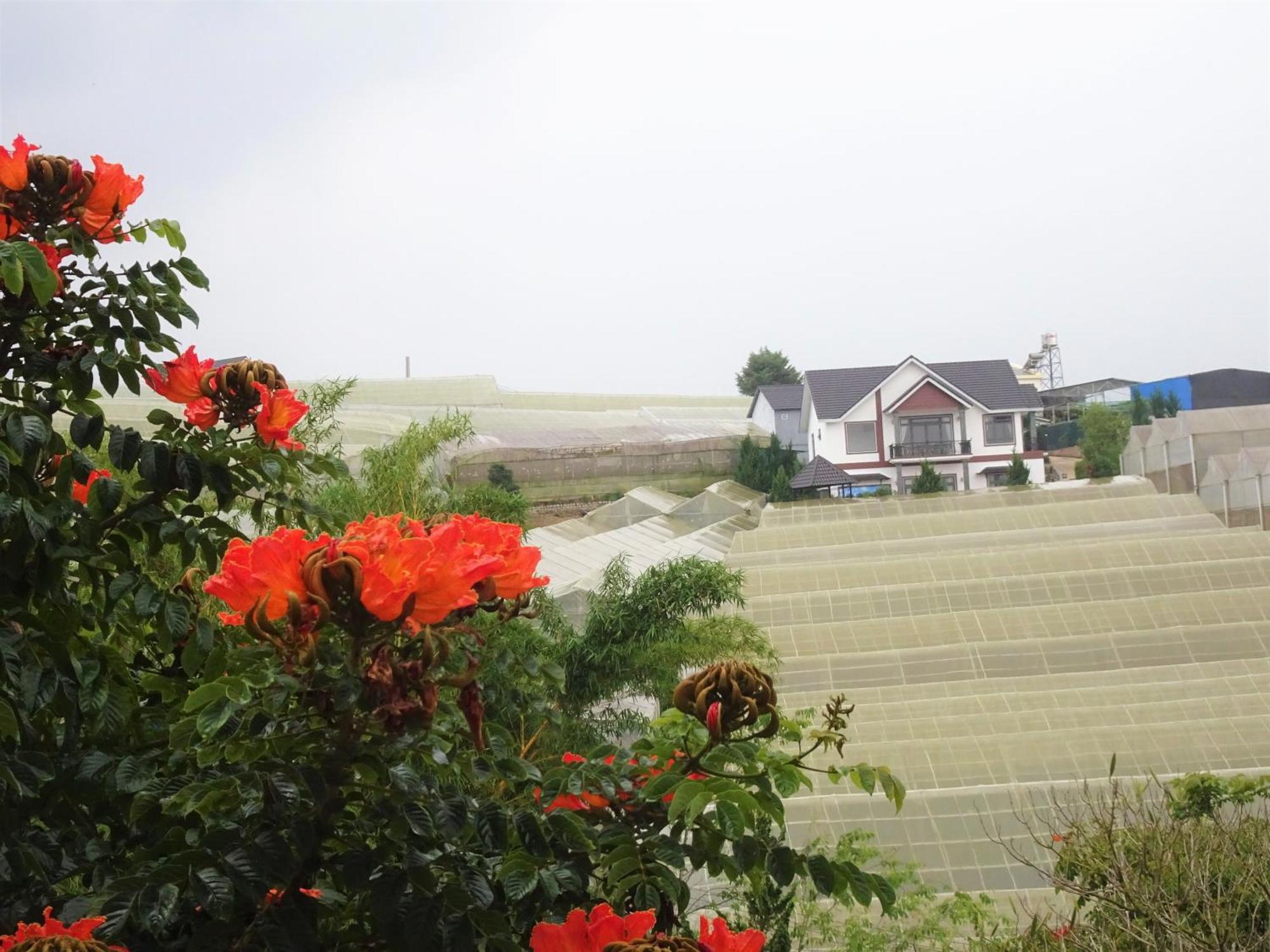 Mento Villa 달랏 외부 사진