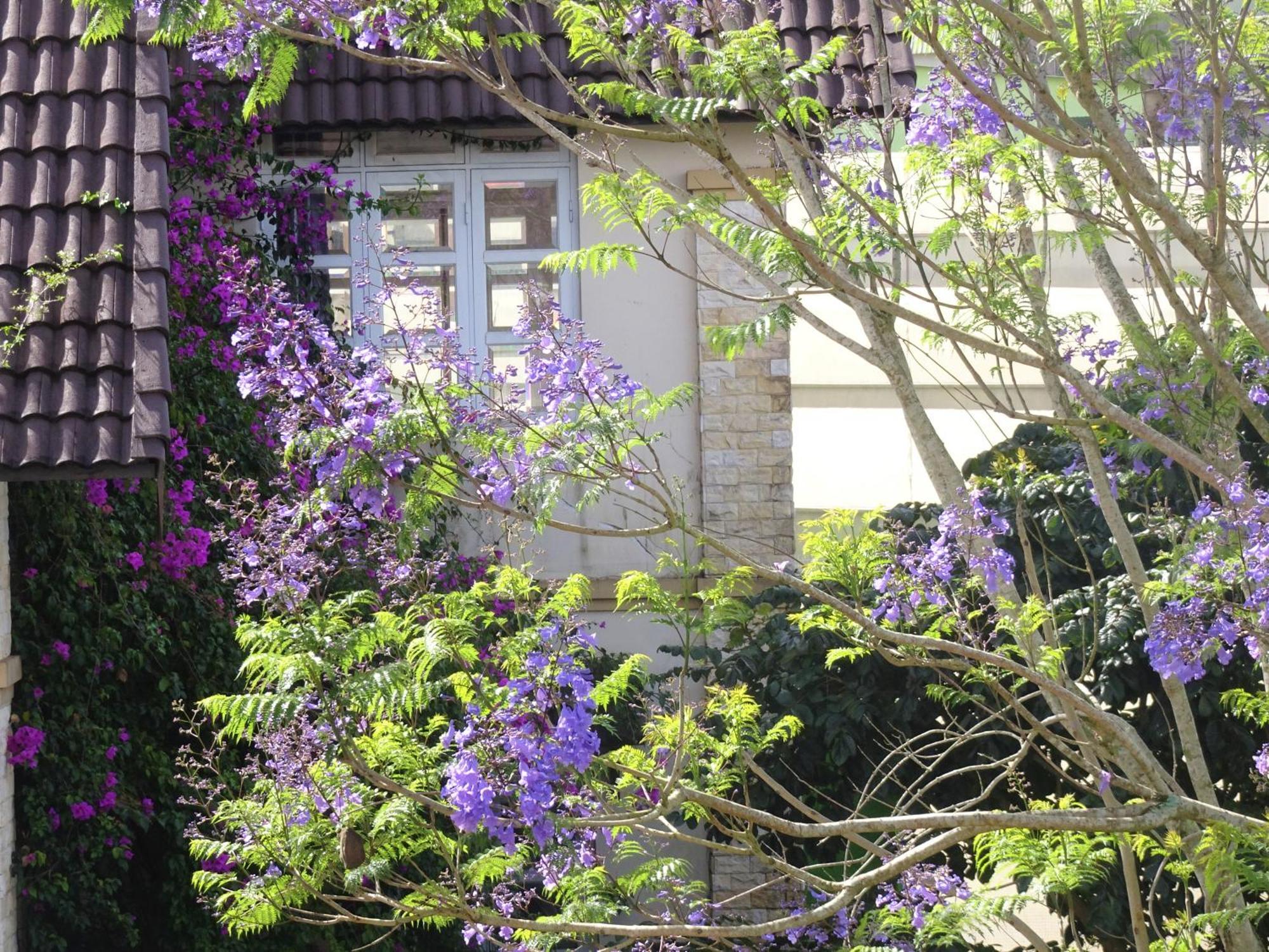 Mento Villa 달랏 외부 사진